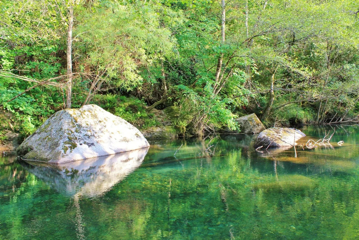 Fridão Natura Recording in Portugal