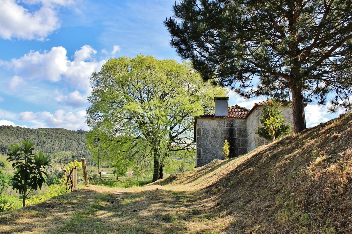 Fridão Natura Recording in Portugal