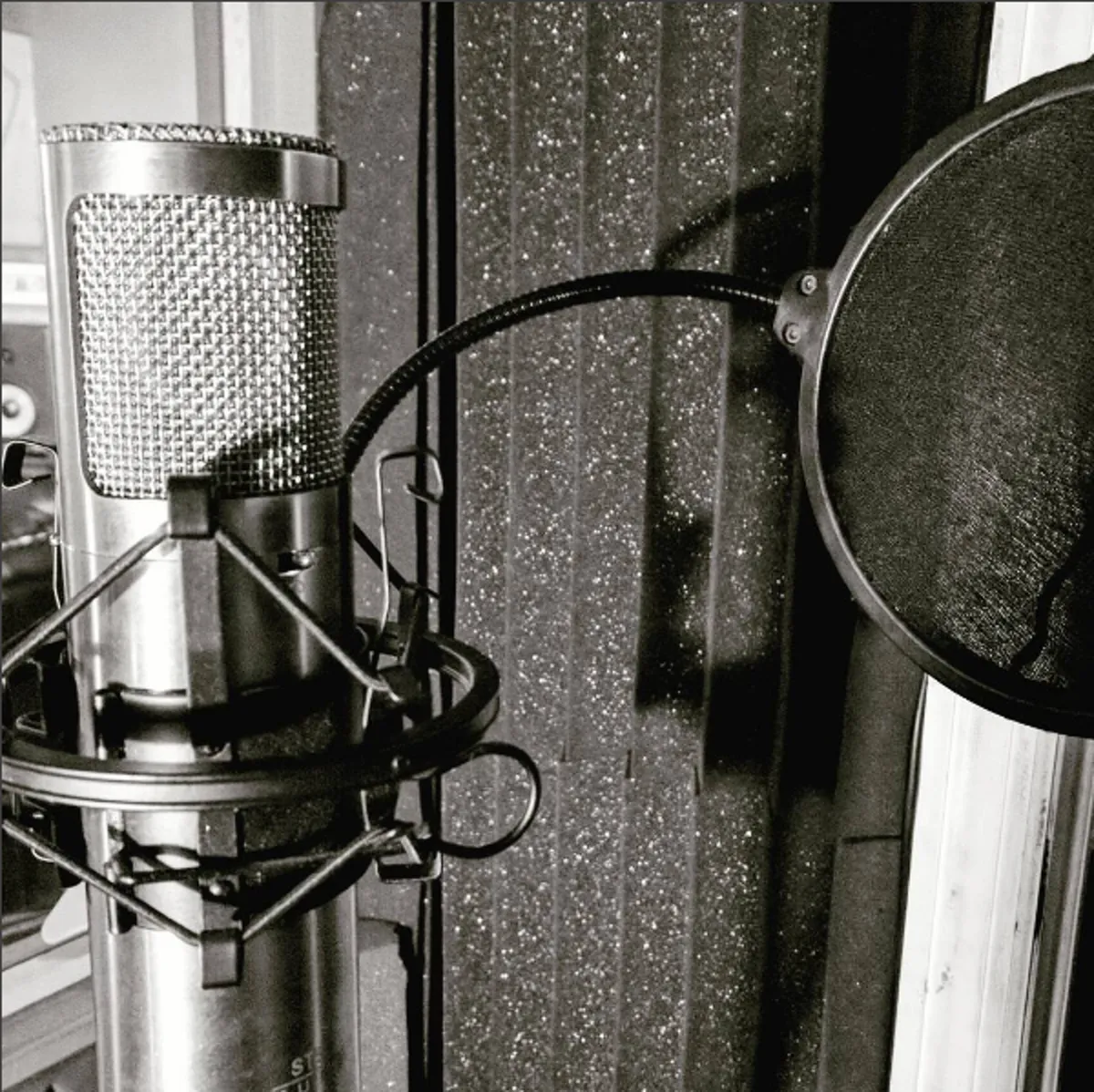 Mad Bull Studio- NYC