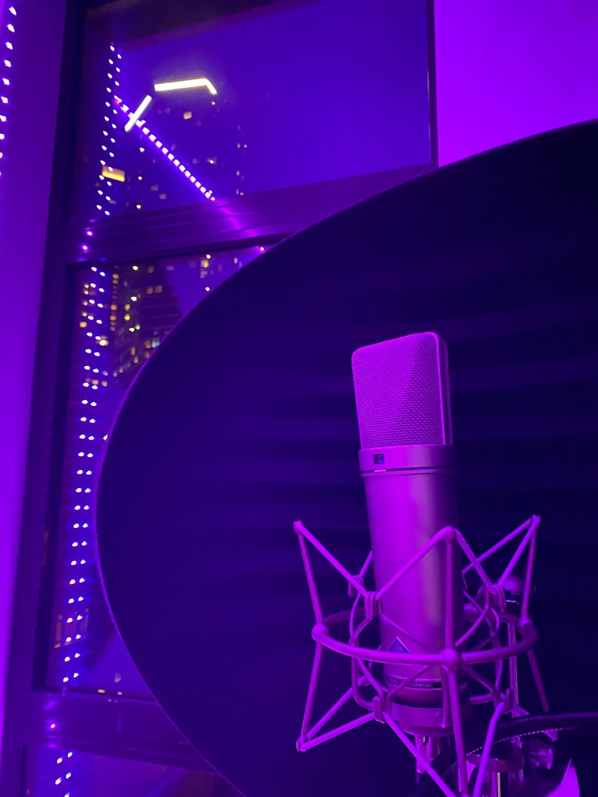 Radio Te Quema Studios (Neumann u87)