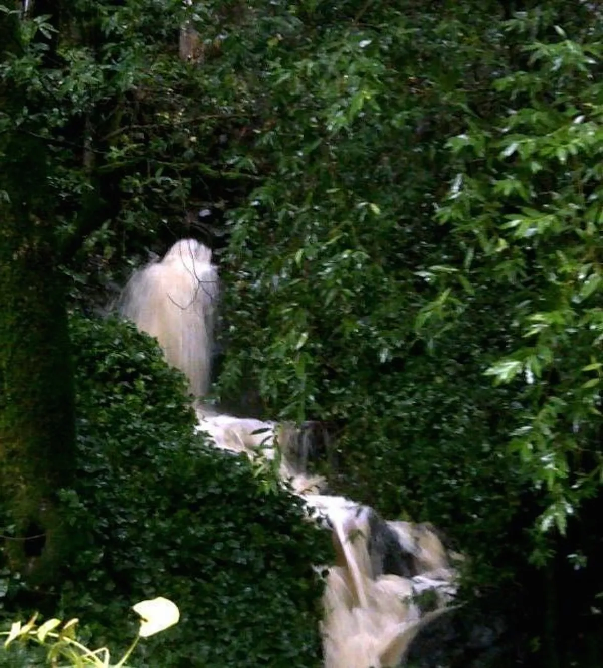 Rocky Path Studio (Accommodations Available)