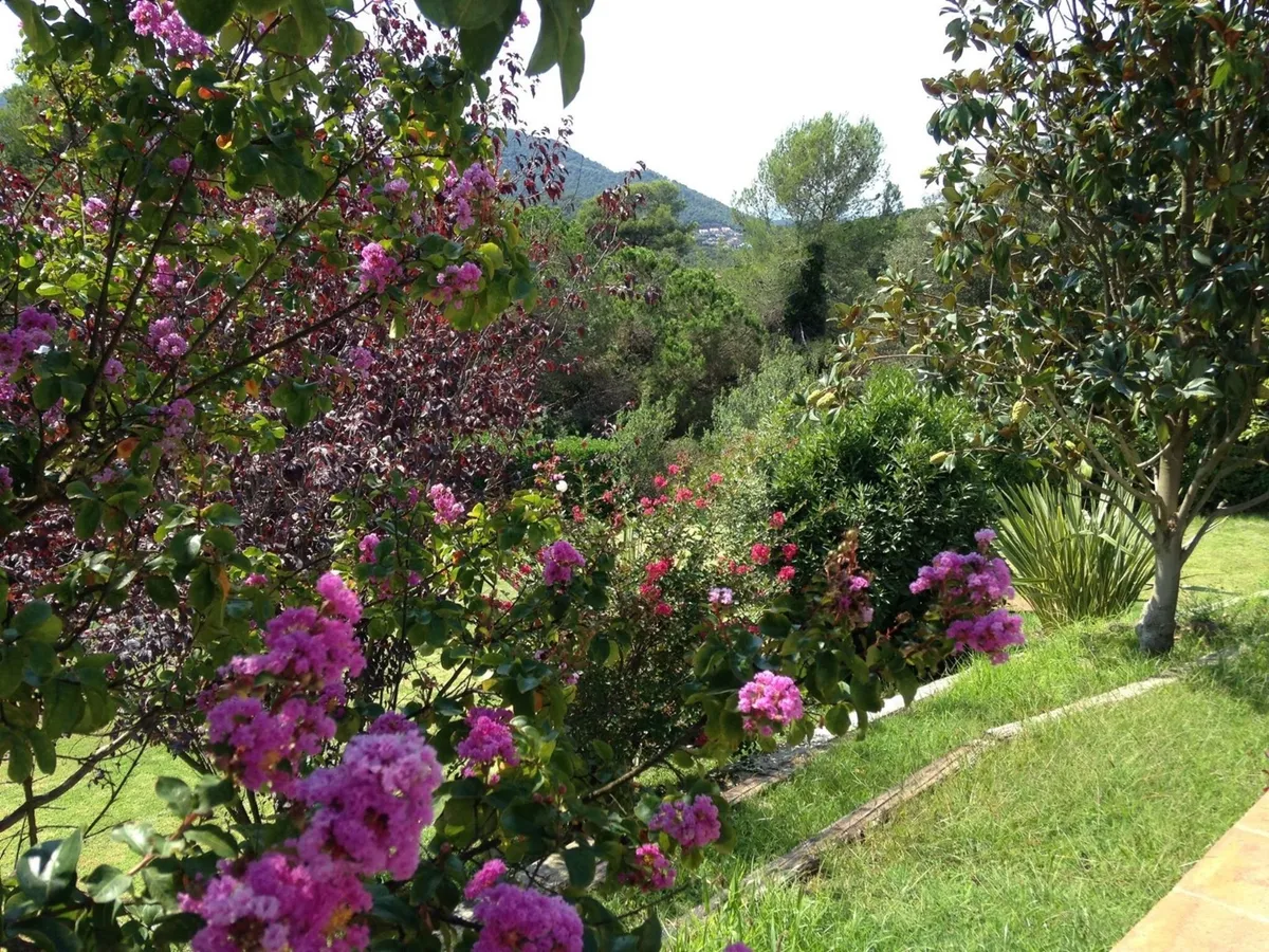 The SoulMates Studios Vallromanes