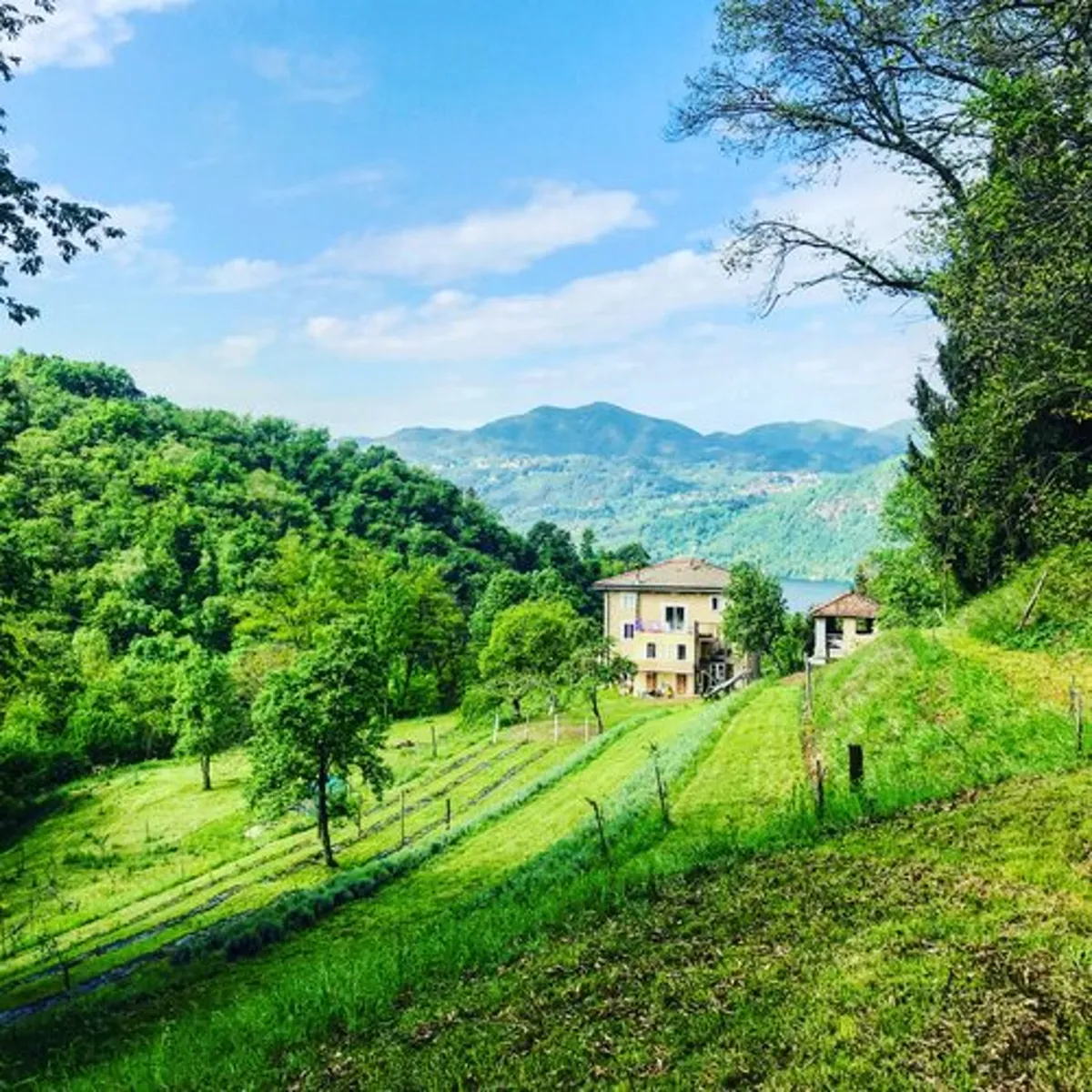 Ursa Major Recording Studio